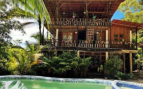 Utria Hostel